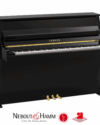 yamaha B10